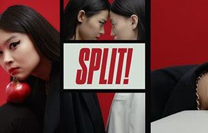 دانلود پروژه افترافکت نوع صاف و تقسیم صفحه نمایش