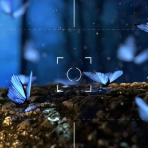 دانلود پریست داوینچی انتقال دوربین Drag-N-Drop