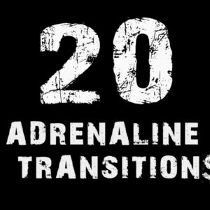 دانلود پریست داوینچی 20 انتقال آدرنالین