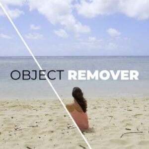 دانلود پریست داوینچی پاک کننده