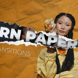 دانلود پریست داوینچی انتقال کاغذ پاره شده