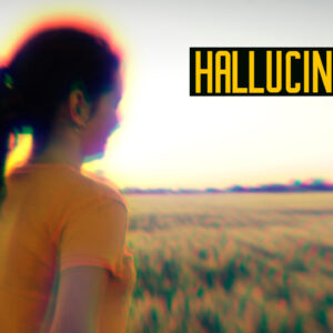 دانلود پریست داوینچی اثرات توهم