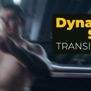 دانلود پریست داوینچی انتقال چرخش پویا