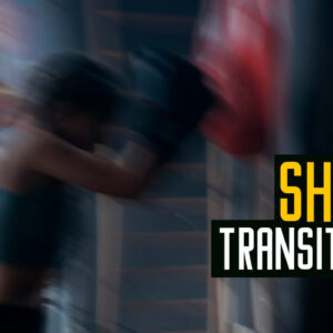 دانلود پریست داوینچی انتقال لرزش