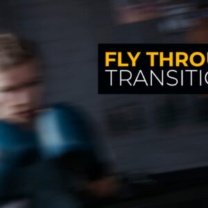 دانلود پریست داوینچی پرواز از طریق انتقال